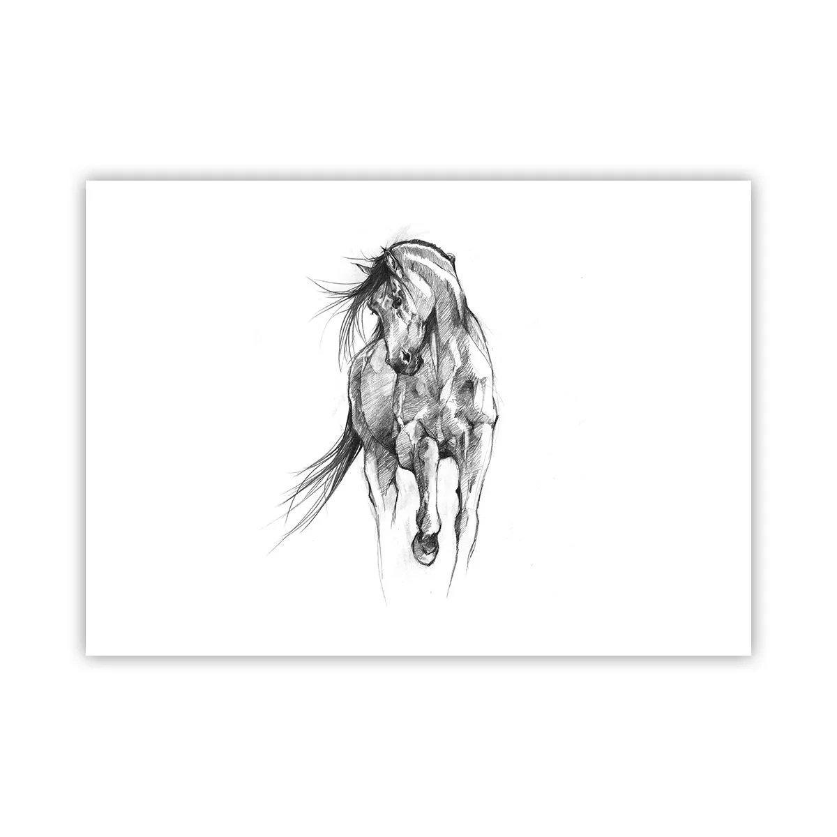Poster - Im anmutigen Trab - 70x50 cm