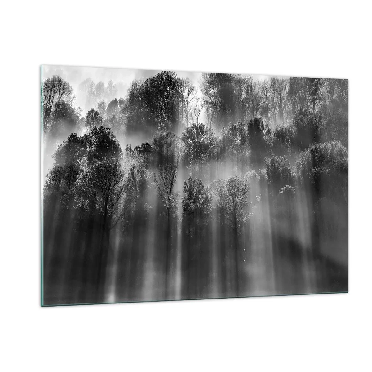 Glasbild - Bild auf glas - Schwarze und weiße Lichtstrahlen durchdringen den Wald - 120x80cm - In Lichtstrahlen - Moderne Wanddekoration für Wohnzimmer und Schlafzimmer ARTTOR