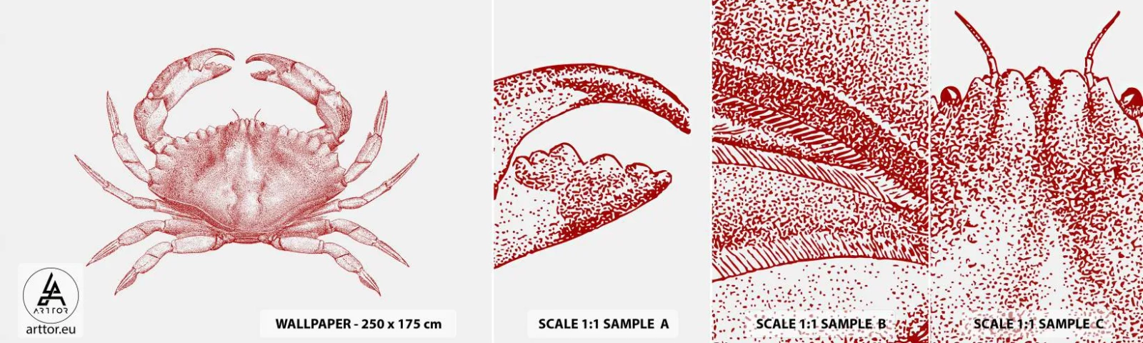 Fototapeten Muster Selbstklebend Deluxe Sticker - Krabbe aller Krabben - Krabbe, Meeresfrüchte, Schaltier - 100x30 cm