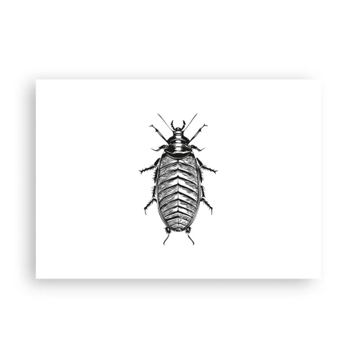 Poster - Grafik eines schwarz-weißen Insekts auf weißem Hintergrund - 100x70cm - Was für ein Exemplar! - Moderne Wanddekoration für Wohnzimmer und Schlafzimmer ARTTOR