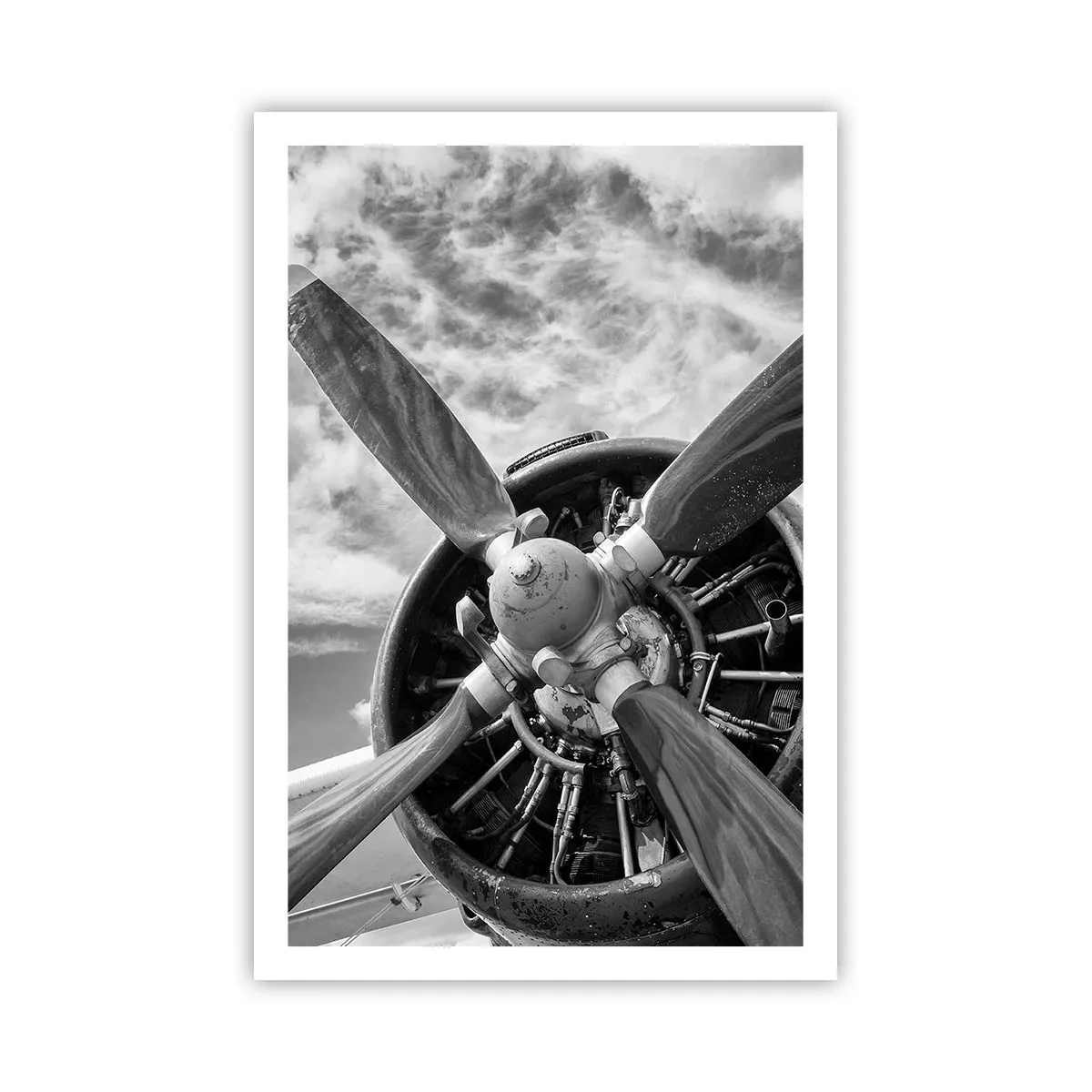 Poster - Eroberer der Lüfte - 61x91 cm