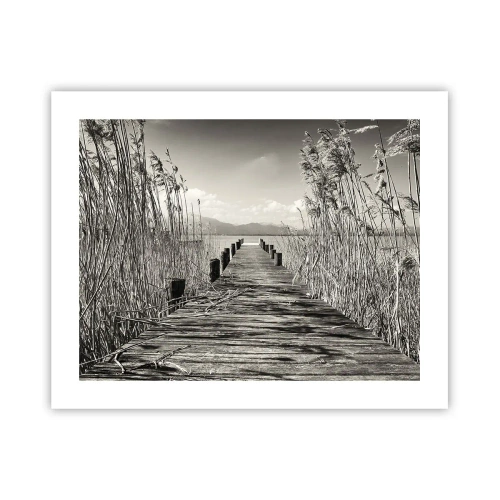 Poster - In der Stille des Grases - 50x40 cm