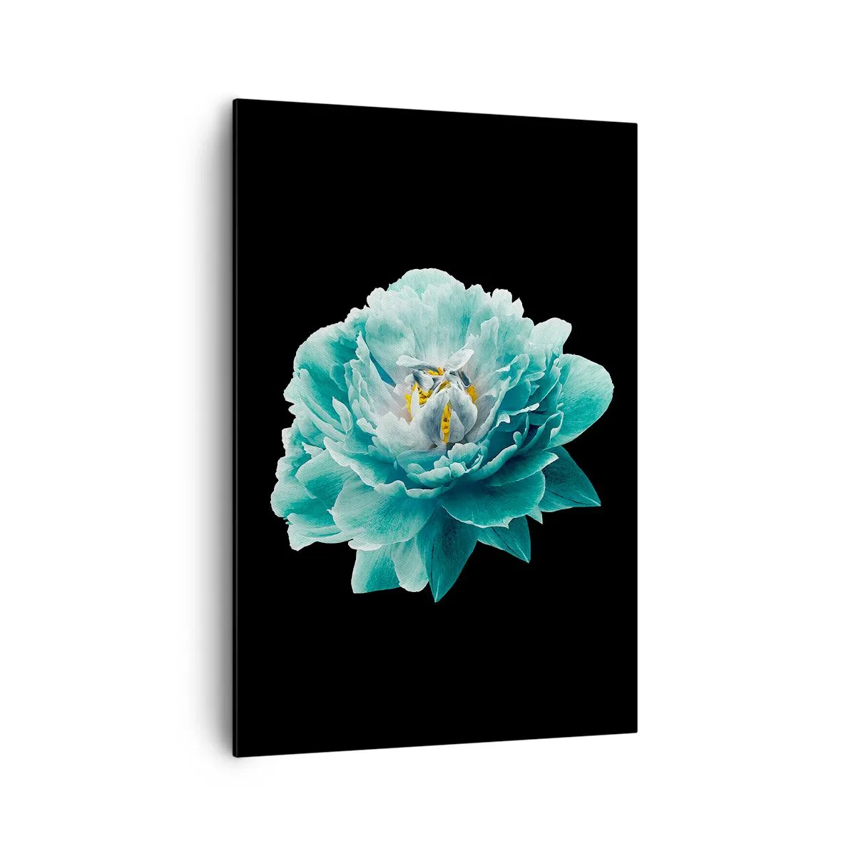 Bild auf Leinwand - Leinwandbild - Türkisfarbene Pfingstrose auf schwarzem Hintergrund - 70x100cm - Blaue und goldene Blütenblätter - Moderne Wanddekoration für Wohnzimmer und Schlafzimmer ARTTOR