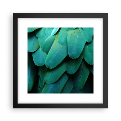 Poster in einem schwarzem Rahmen - Papageienartige Präzision - 30x30 cm
