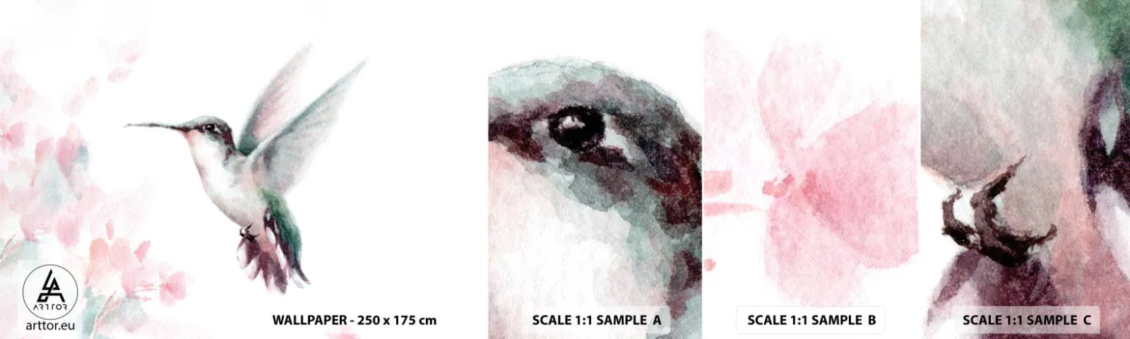 Fototapetenmuster Standard Eco - Im Flattern gehalten - Kolibri, Vogel, Stück - 100x30 cm