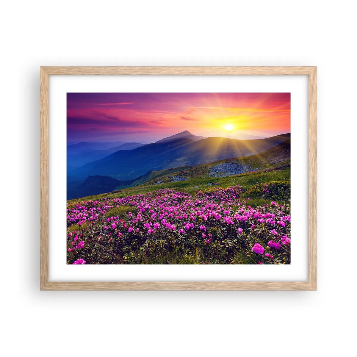 Poster in einem Rahmen aus heller Eiche - … Und drumherum duftet es nach Latschenkiefer und dem Duft von Kräutern - 50x40 cm