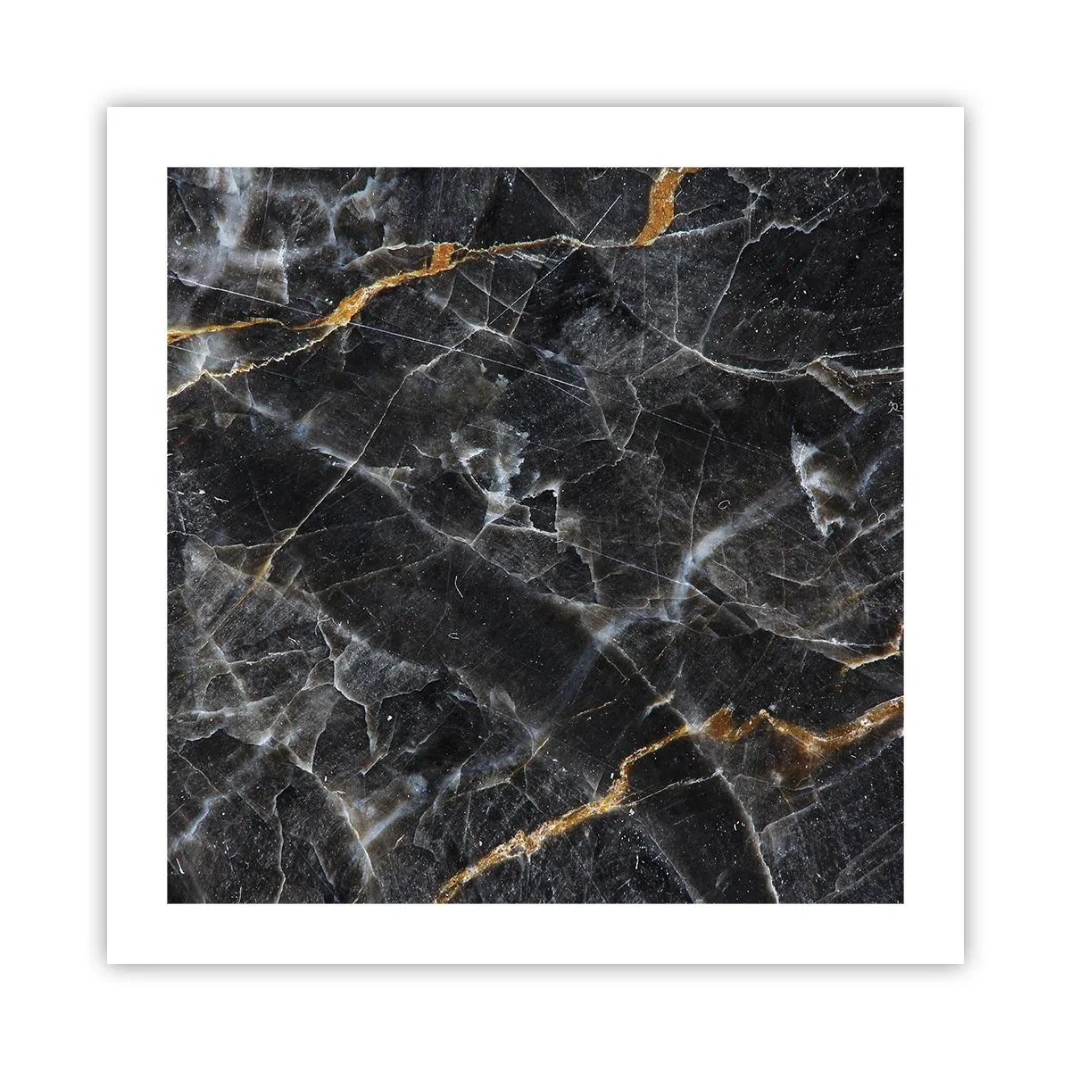 Poster - Das Innenleben des Steins - 50x50 cm