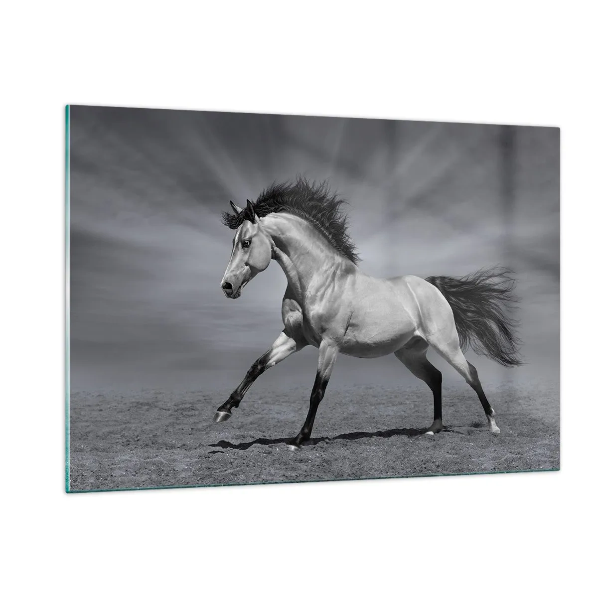 Glasbild - Bild auf glas - Ein Schwarzweißfoto eines galoppierenden Pferdes auf einem offenen Feld. - 120x80cm - Geboren um Freude zu bereiten - Moderne Wanddekoration für Wohnzimmer und Schlafzimmer ARTTOR
