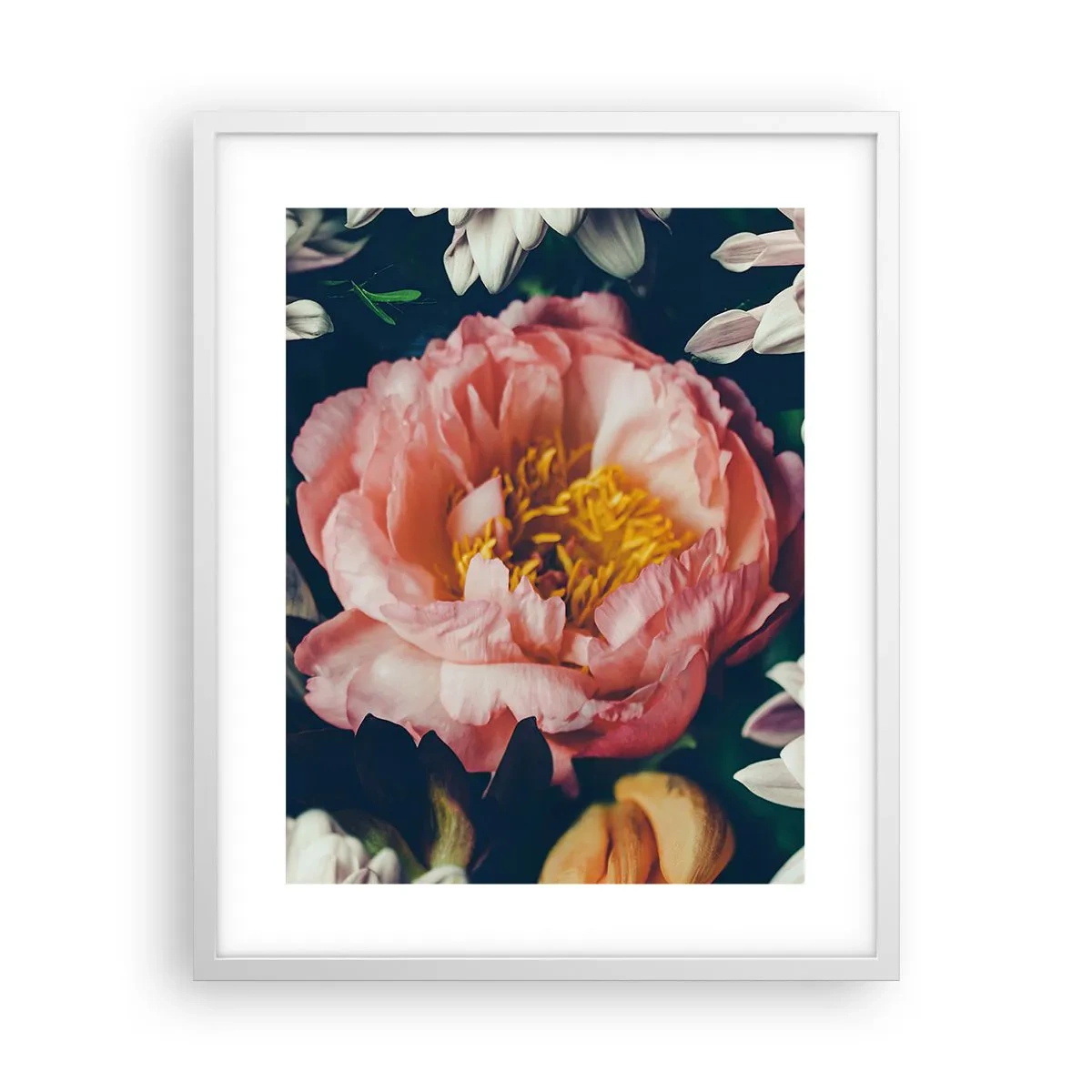 Poster in einem weißen Rahmen - Mit barocker Pracht - 40x50 cm