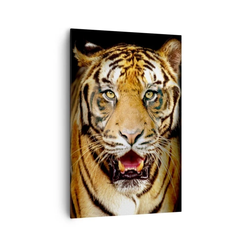 Bild auf Leinwand - Leinwandbild - Ein Tiger mit offenem Maul auf schwarzem Hintergrund - 80x120cm - Wild im Herzen - Moderne Wanddekoration für Wohnzimmer und Schlafzimmer ARTTOR