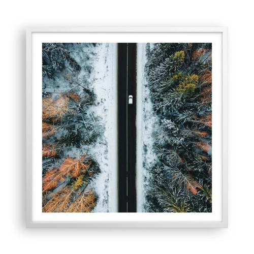 Poster in einem weißen Rahmen - Schnitt durch den Winterwald - 60x60 cm