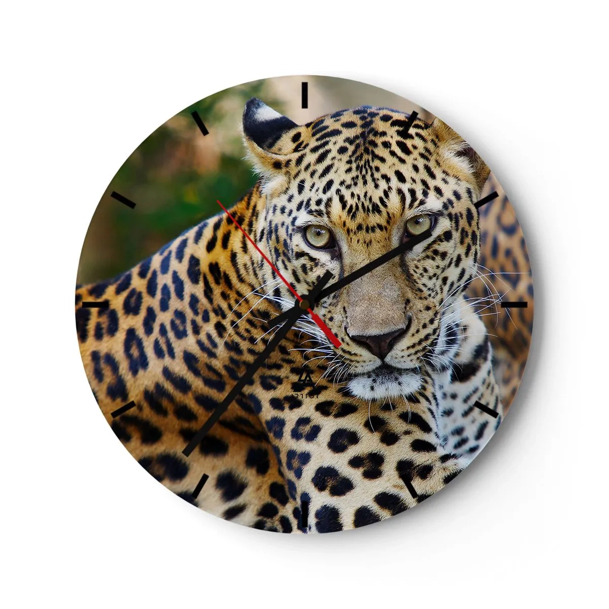 Wanduhr - Glasuhr - Wild und ruhig - 40x40 cm