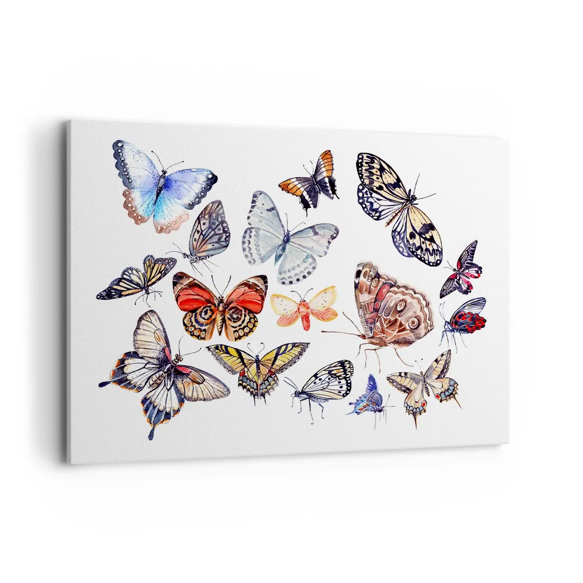 Bild auf Leinwand - Leinwandbild - Bunte Schmetterlinge auf weißem Hintergrund - 100x70cm - Spitzen, bunter Schwarm - Moderne Wanddekoration für Wohnzimmer und Schlafzimmer ARTTOR