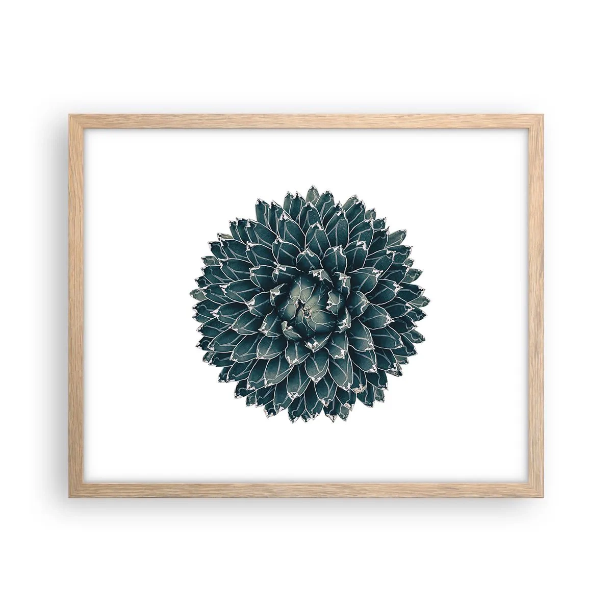 Poster in einem Rahmen aus heller Eiche - Stern der Wüste - 50x40 cm