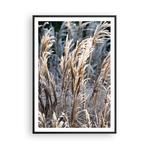 Poster in einem schwarzem Rahmen - Gekleidet mit Frost - 70x100 cm