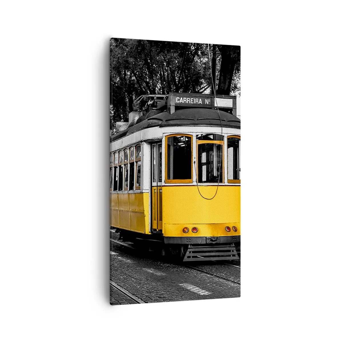 Bild auf Leinwand - Leinwandbild - Und Fado im Hintergrund - 55x100 cm