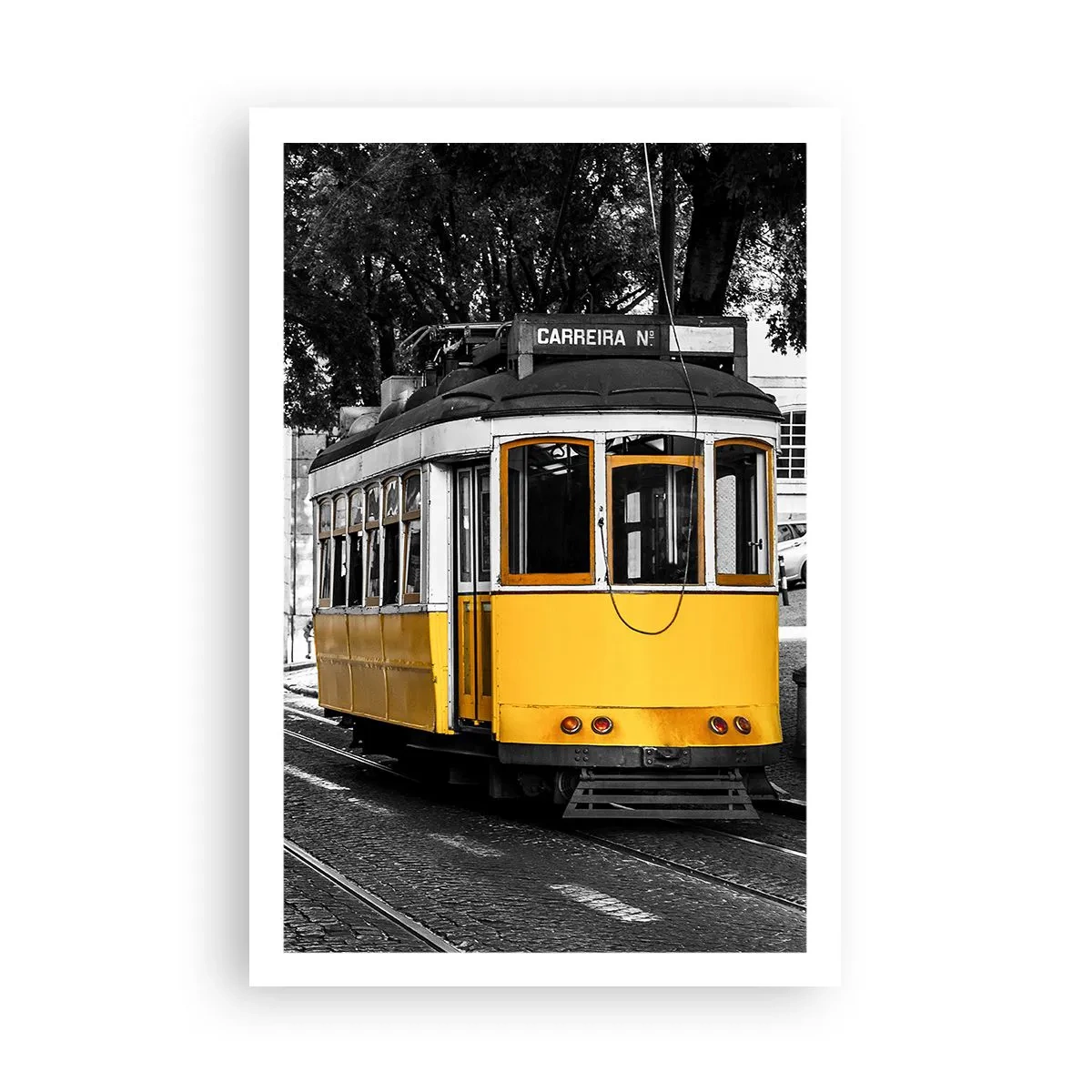 Poster - Und Fado im Hintergrund - 61x91 cm