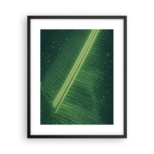 Poster in einem schwarzem Rahmen - Die Struktur des Grüns - 40x50 cm