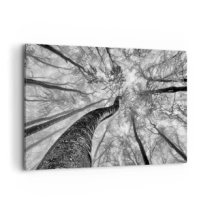 Bild auf Leinwand - Leinwandbild - Perspektive von Bäumen in einem Wald von unten gesehen in Grautönen - 120x80cm - Rennen zum Licht - Moderne Wanddekoration für Wohnzimmer und Schlafzimmer ARTTOR