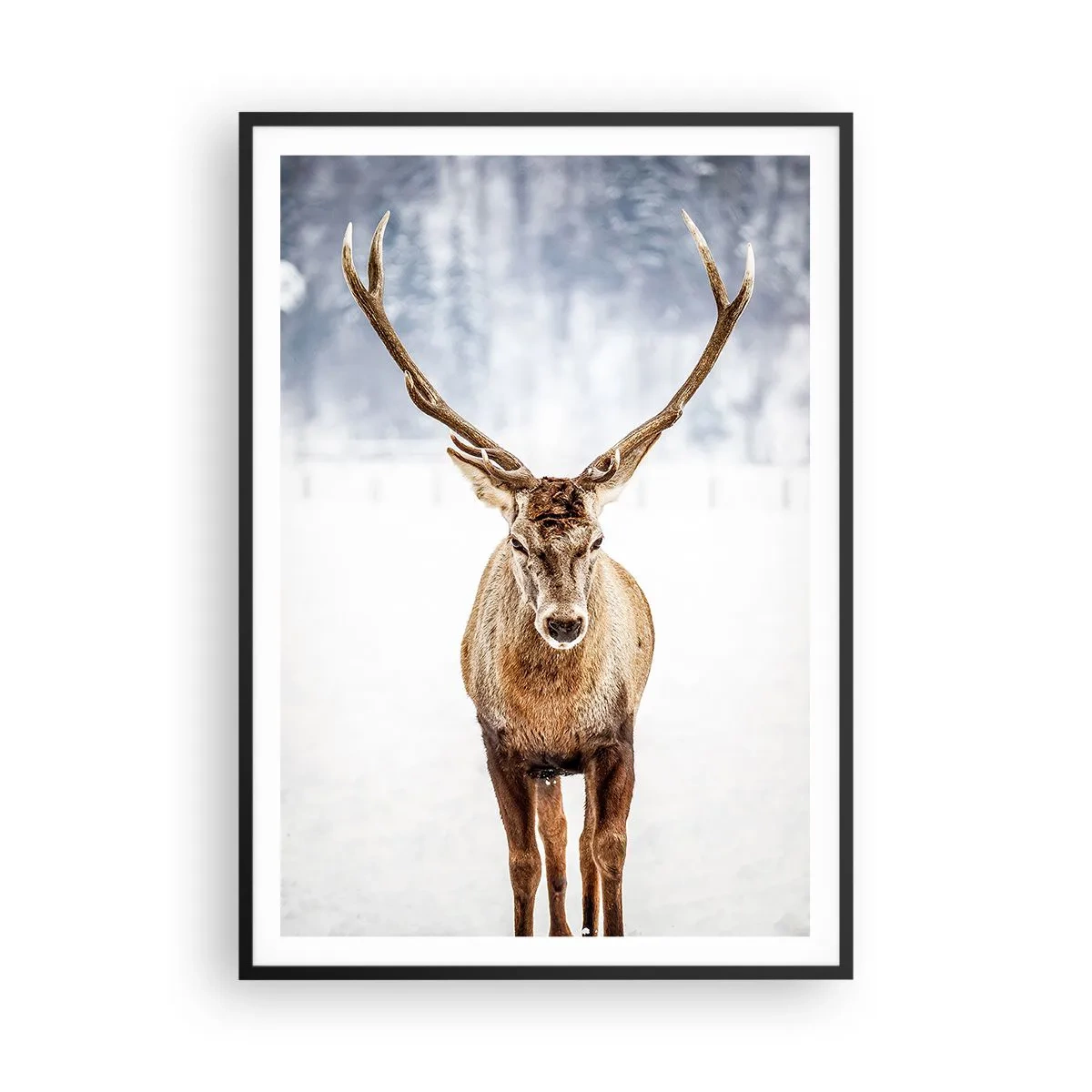 Poster in einem schwarzem Rahmen - Direkt aus dem Schneenebel - 70x100 cm
