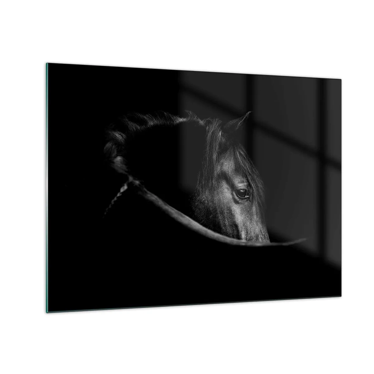 Glasbild - Bild auf glas - Profil eines schwarzen Pferdes im Schatten mit einem sichtbaren Auge - 70x50cm - Schwarzer Prinz - Moderne Wanddekoration für Wohnzimmer und Schlafzimmer ARTTOR