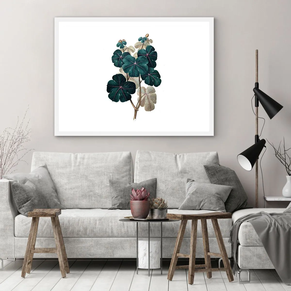 Poster in einem weißen Rahmen - Aus dem alten Herbarium - 40x30 cm