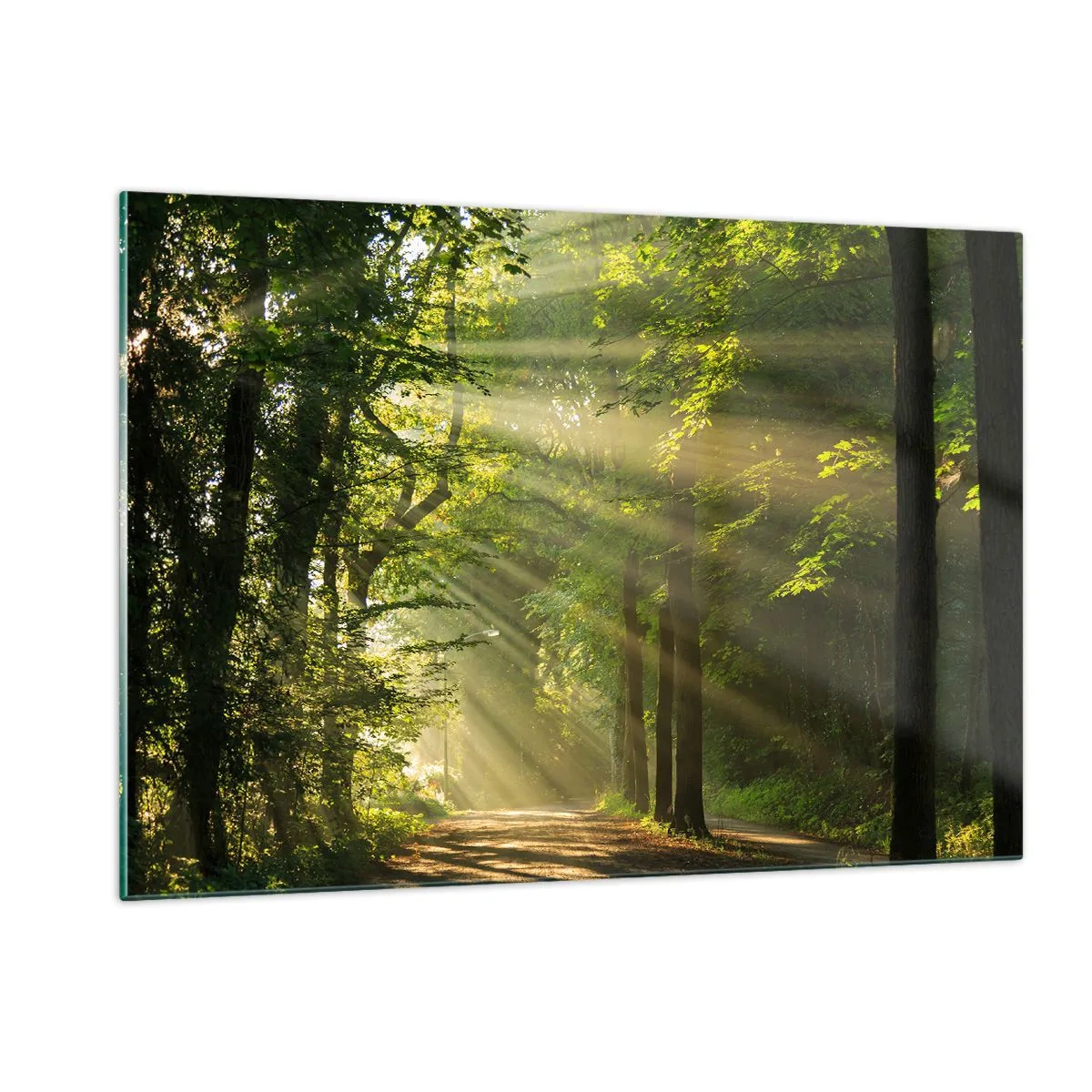 Glasbild - Bild auf glas - Ein Waldweg, beleuchtet von den Sonnenstrahlen - 120x80cm - Waldmoment - Moderne Wanddekoration für Wohnzimmer und Schlafzimmer ARTTOR