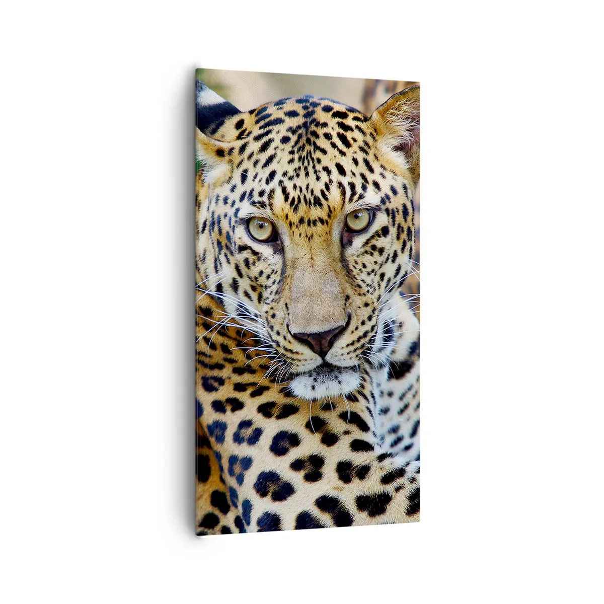 Bild auf Leinwand - Leinwandbild - Wild und ruhig - 65x120 cm