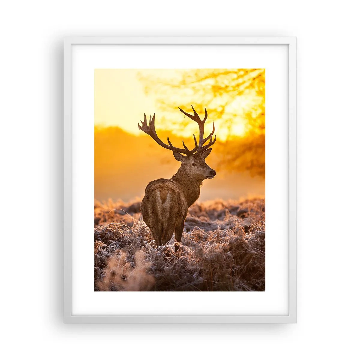 Poster in einem weißen Rahmen - König des Herbstwaldes - 40x50 cm