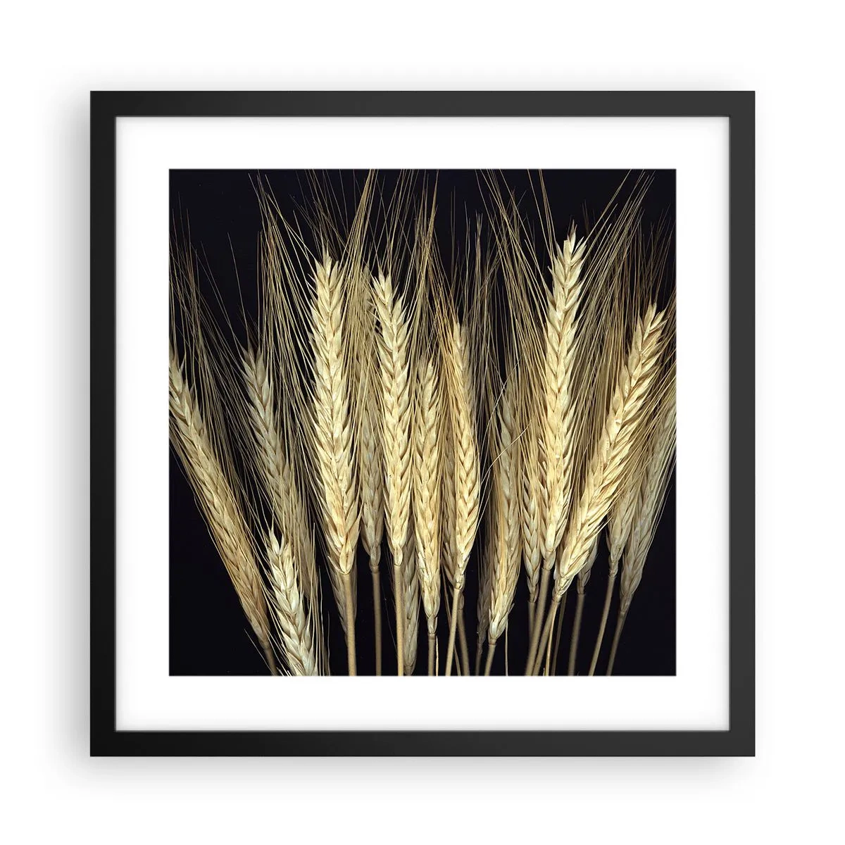 Poster in einem schwarzem Rahmen - Rustikale Magie - 40x40 cm