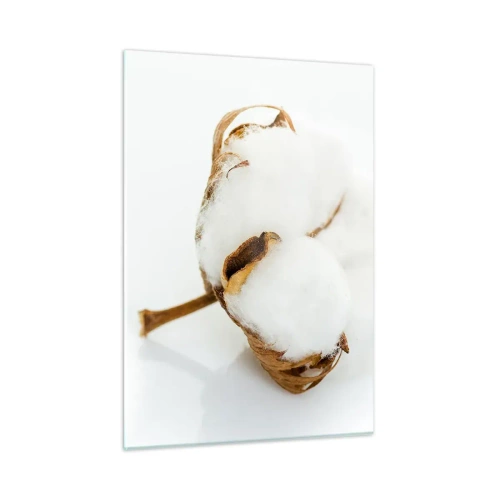 Glasbild - Bild auf glas - Eine einzelne flauschige Baumwollblume auf weißem Hintergrund - 50x70cm - Von Natur aus weich - Moderne Wanddekoration für Wohnzimmer und Schlafzimmer ARTTOR