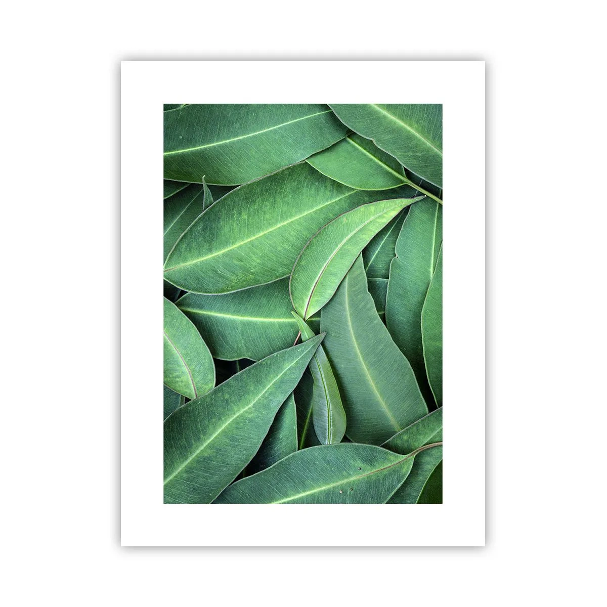 Poster - Saftig und frisch - 30x40 cm