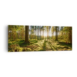 Bild auf Leinwand - Leinwandbild - Grüner Wald, beleuchtet durch Sonnenlicht auf dem Moos - 140x50cm - … Hinter den sieben Wäldern - Moderne Wanddekoration für Wohnzimmer und Schlafzimmer ARTTOR
