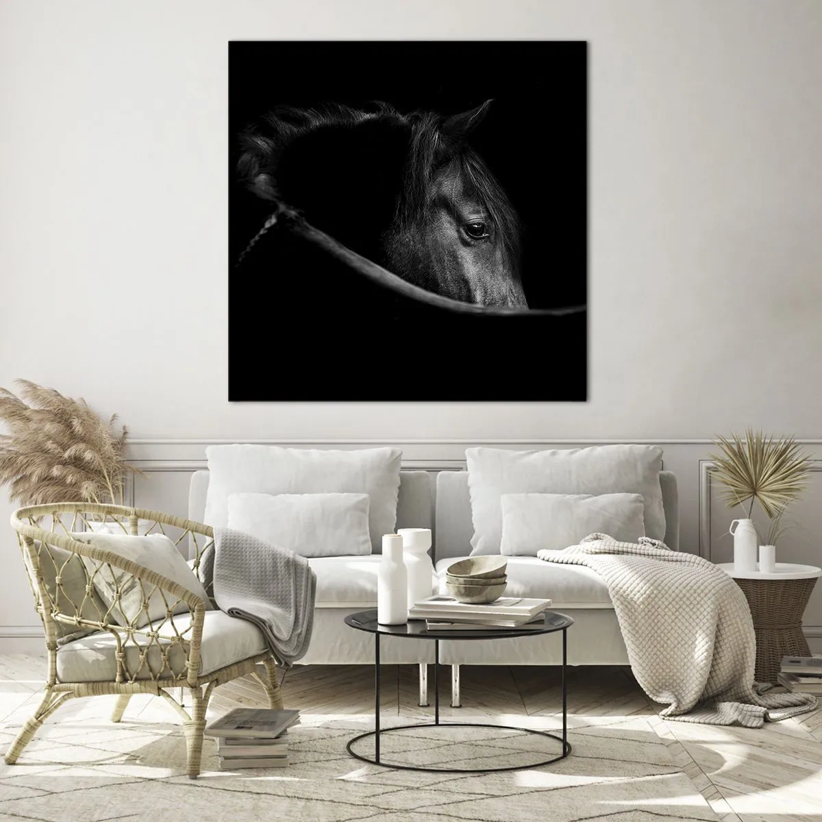 Glasbild - Bild auf glas - Schwarzer Prinz - 40x40 cm