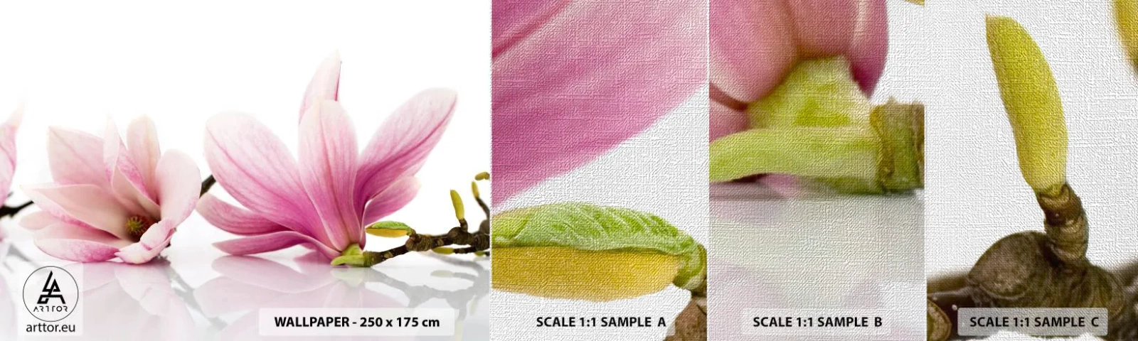Fototapeten Muster Premium Canvas - Zart wie ein Frühlingswind - Blume, Magnolie, Natur - 100x30 cm