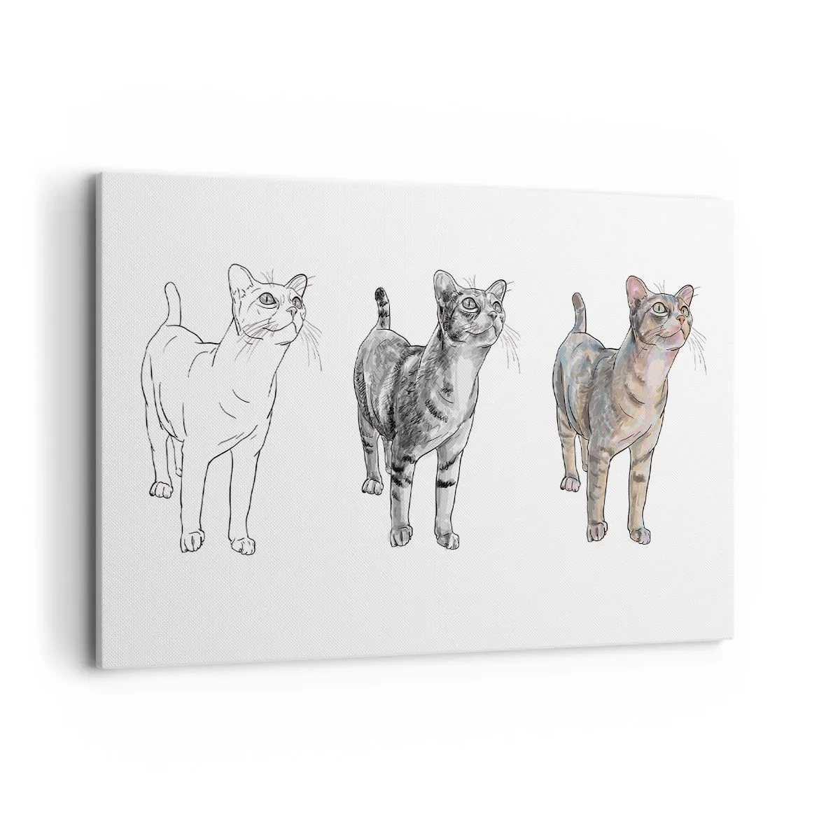 Bild auf Leinwand - Leinwandbild - Die Entwicklung einer Katzenzeichnung von der Skizze zur farbigen Form - 120x80cm - Zeichenunterricht - Moderne Wanddekoration für Wohnzimmer und Schlafzimmer ARTTOR