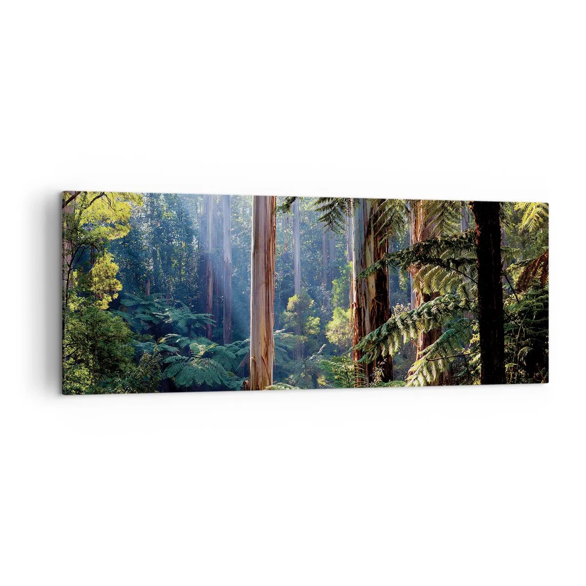 Bild auf Leinwand - Leinwandbild - Tropischer Wald, beleuchtet von den Sonnenstrahlen - 140x50cm - Ein Waldmärchen - Moderne Wanddekoration für Wohnzimmer und Schlafzimmer ARTTOR