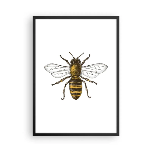 Poster in einem schwarzem Rahmen - Vintage Bienendetailillustration - 50x70cm - Schön und gut - Moderne Wanddekoration für Wohnzimmer und Schlafzimmer ARTTOR