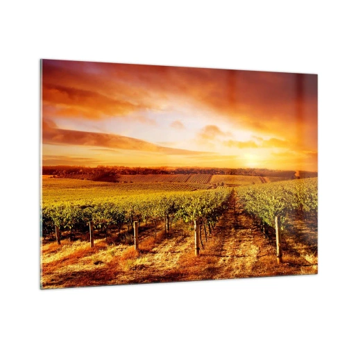 Glasbild - Bild auf glas - Weinreben auf einem Feld bei Sonnenuntergang - 100x70cm - Leicht fruchtig mit einem Hauch Sonnenschein - Moderne Wanddekoration für Wohnzimmer und Schlafzimmer ARTTOR