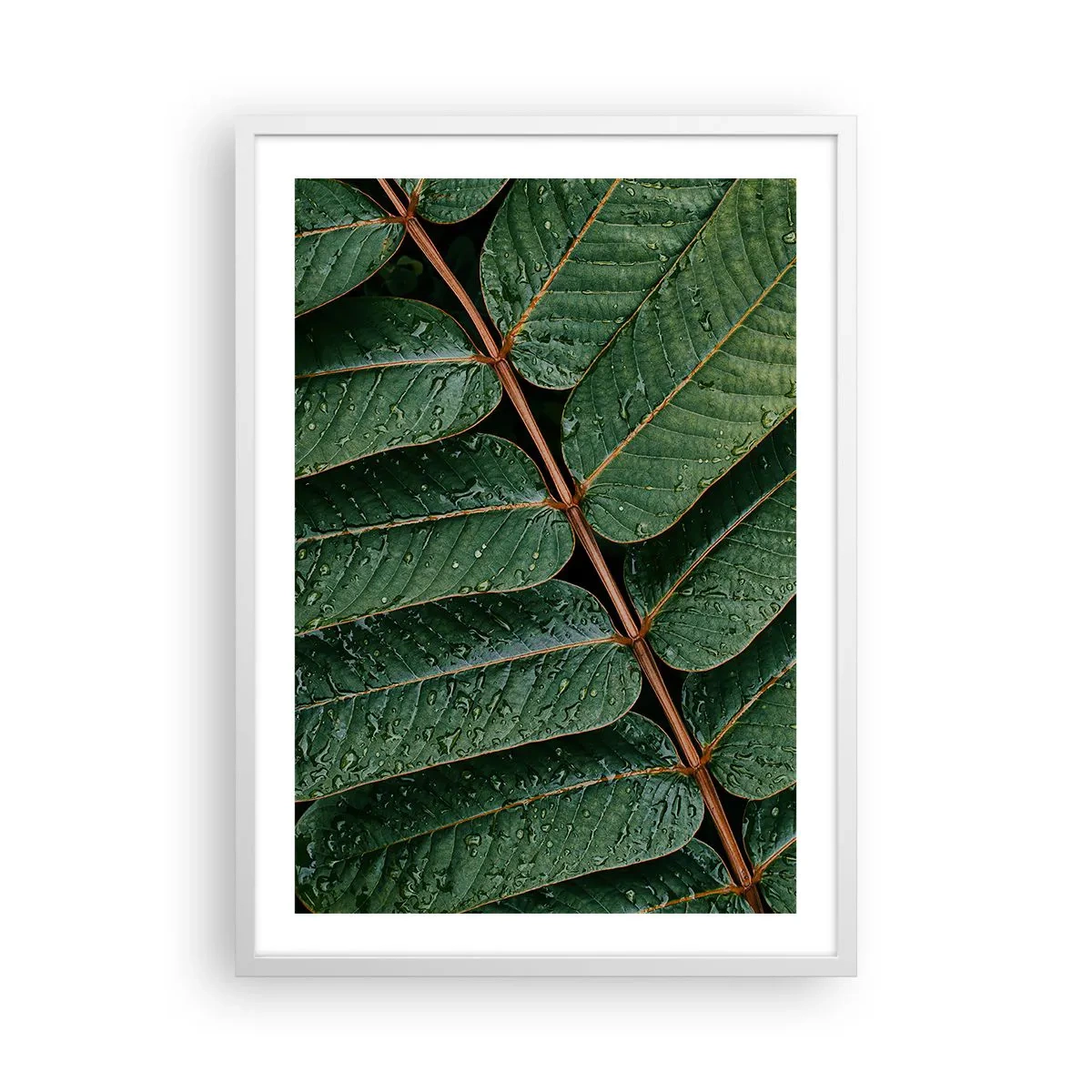 Poster in einem weißen Rahmen - Im grünen Rhythmus - 50x70 cm