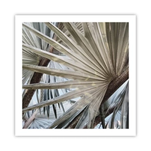 Poster - Fans in den Tropen - 60x60 cm