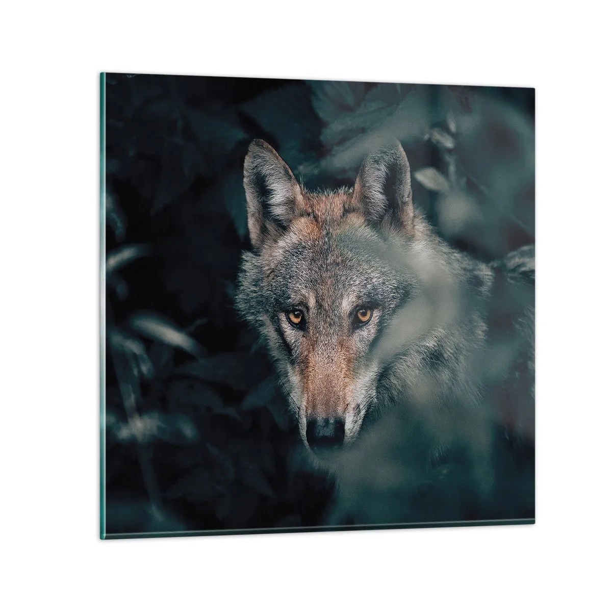 Glasbild - Bild auf glas - Jäger - 40x40 cm