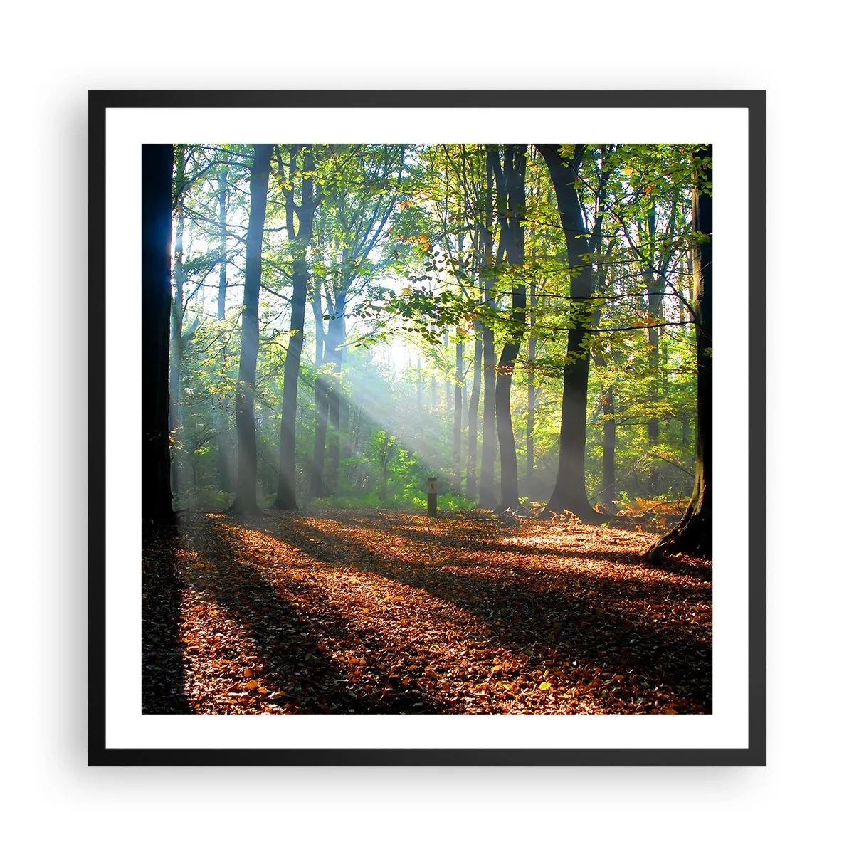 Poster in einem schwarzem Rahmen - Licht und Schatten - 60x60 cm