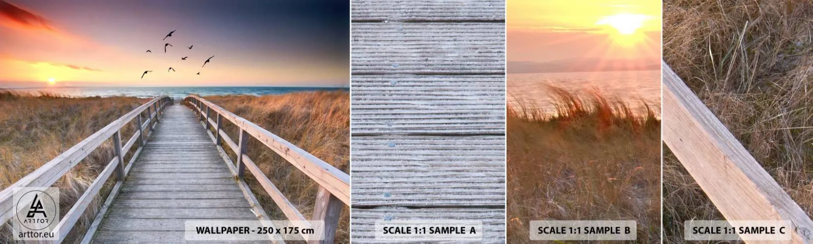 Fototapetenmuster Standard Eco - Der Raum für Auffliegen - Landschaft, Meer, Strand - 100x30 cm