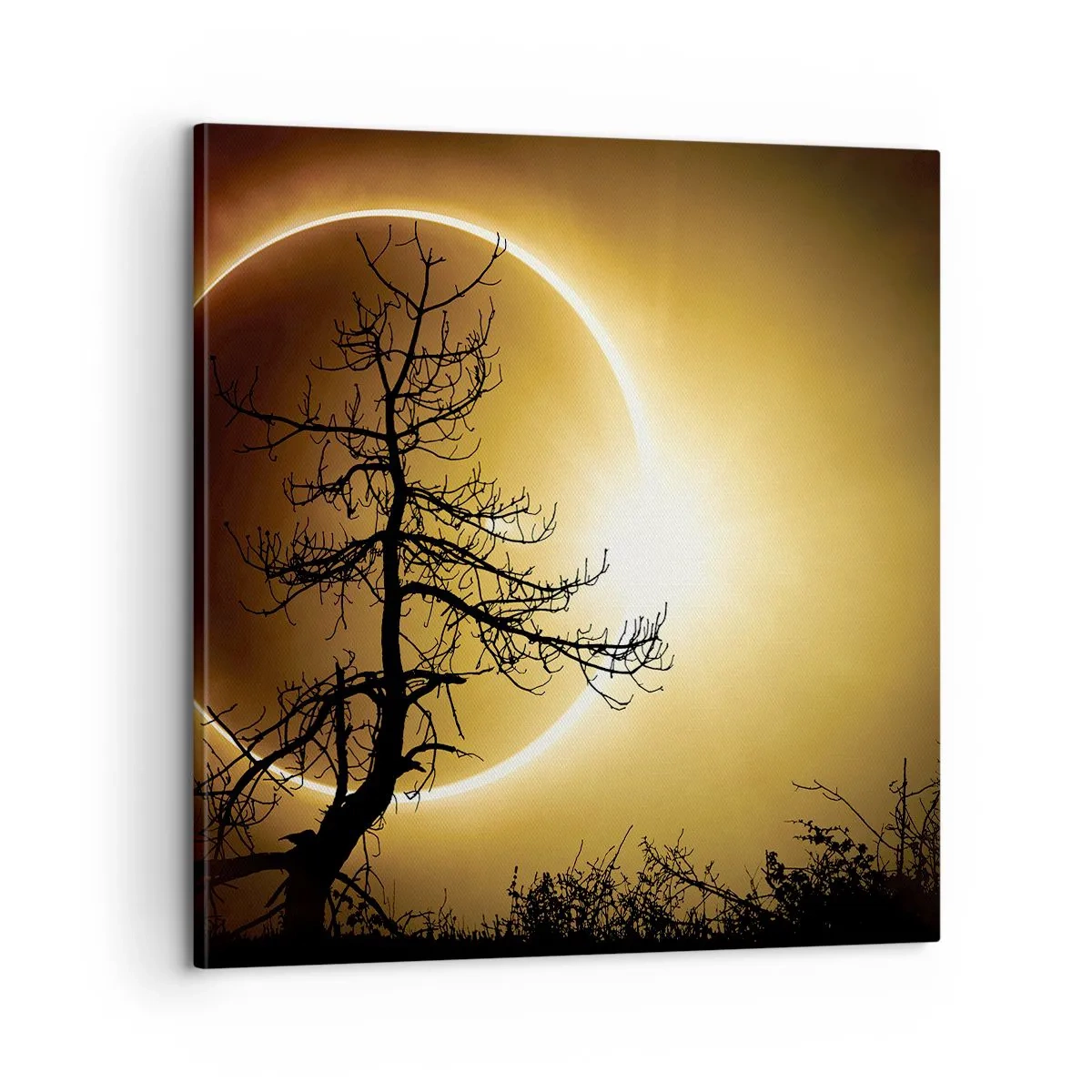 Bild auf Leinwand - Leinwandbild - Totale Finsternis - 60x60 cm