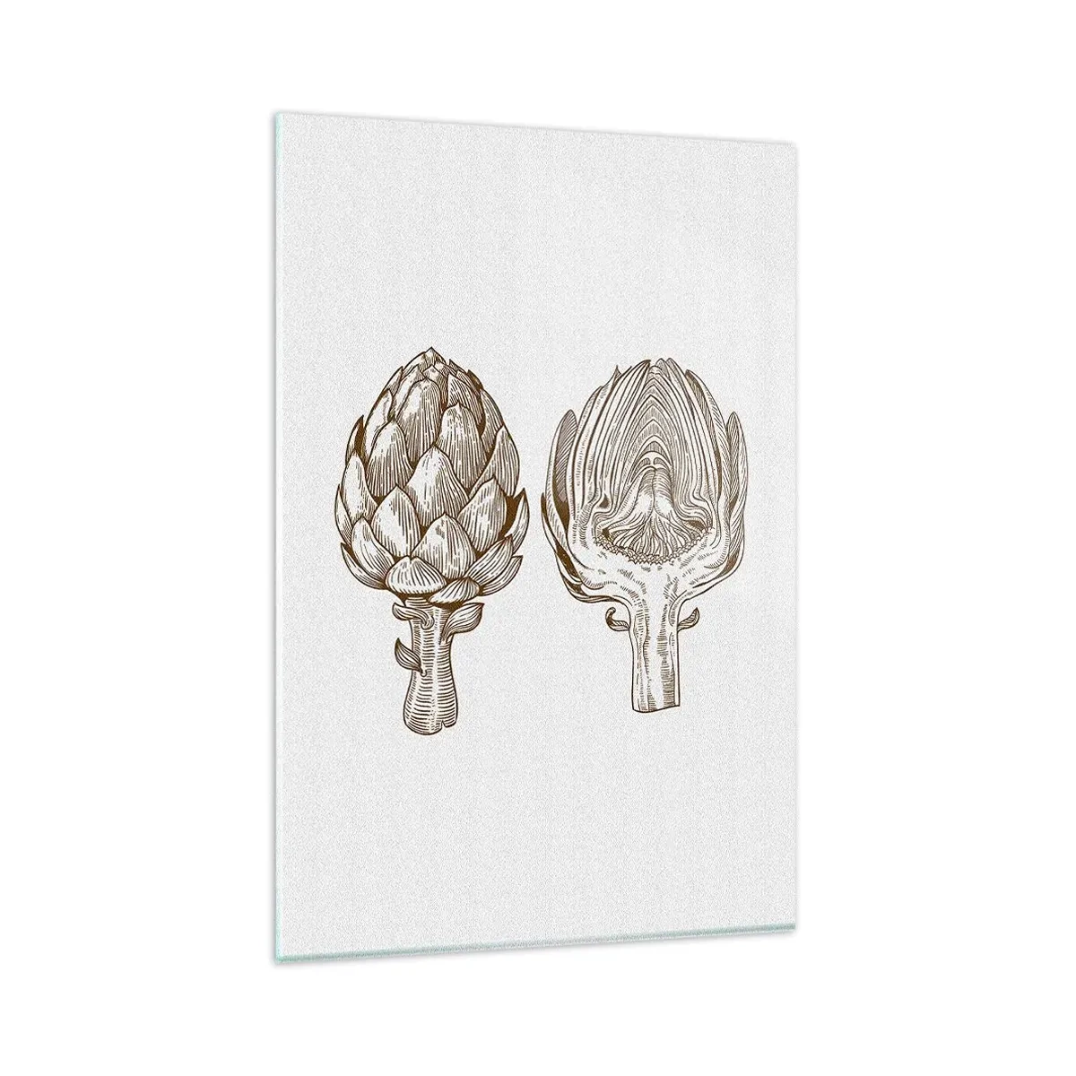 Glasbild - Bild auf glas - Vintage Kunstzeichnung einer Artischocke - 80x120cm - Anatomie-Lektion - Moderne Wanddekoration für Wohnzimmer und Schlafzimmer ARTTOR