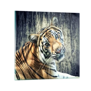 Glasbild - Bild auf glas - Portrait in Lichtstrahlen - 40x40 cm