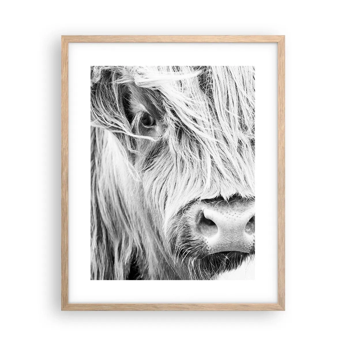Poster in einem Rahmen aus heller Eiche - Schottische Wildheit - 40x50 cm