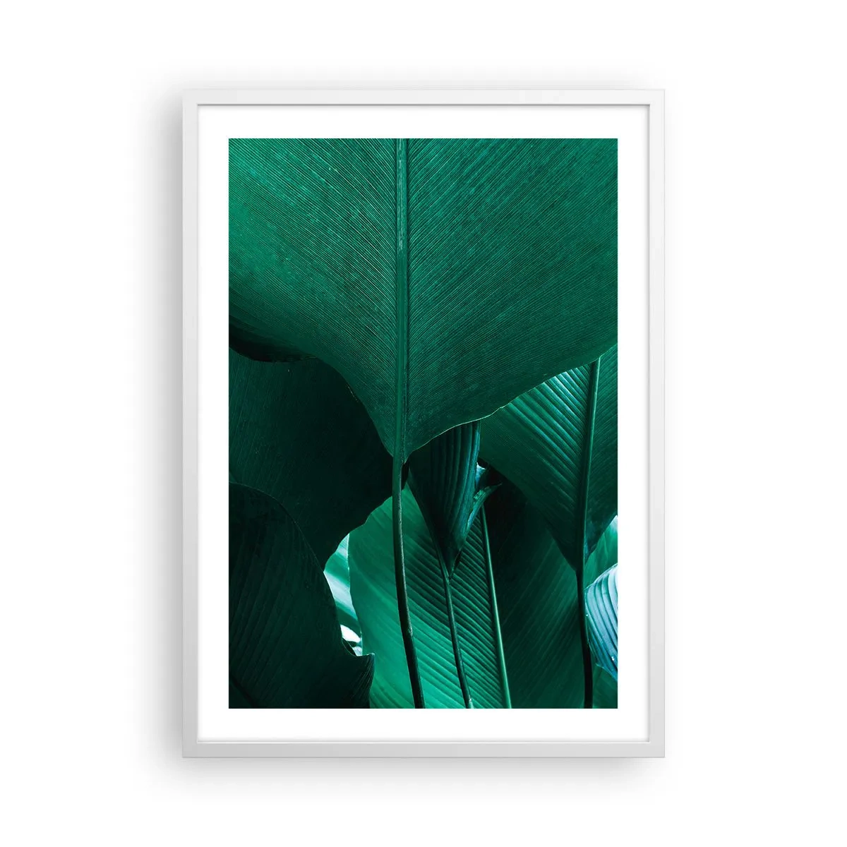Poster in einem weißen Rahmen - Dem Licht zugewandt - 50x70 cm