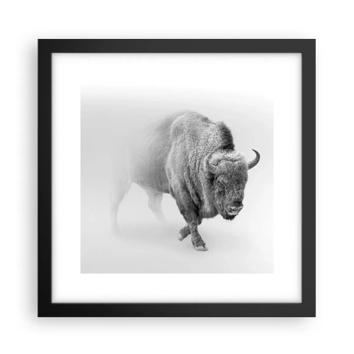 Poster in einem schwarzem Rahmen - König der Prärie - 30x30 cm